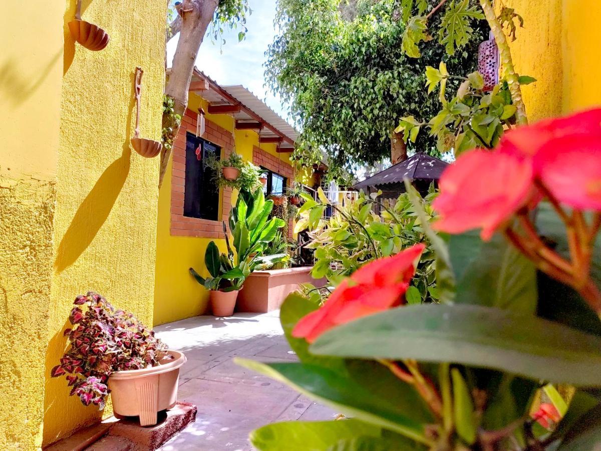 Casa Caracoles La Paz Exterior photo