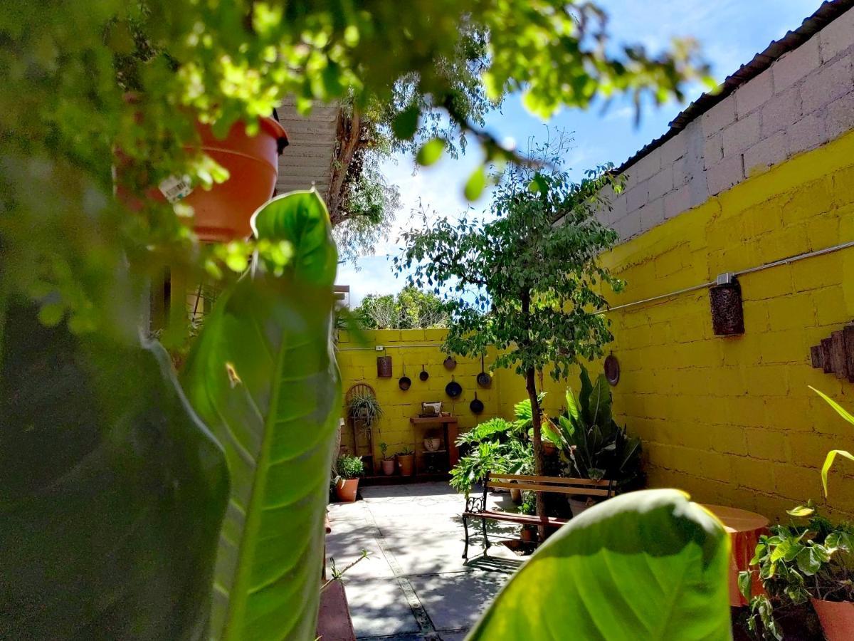 Casa Caracoles La Paz Exterior photo