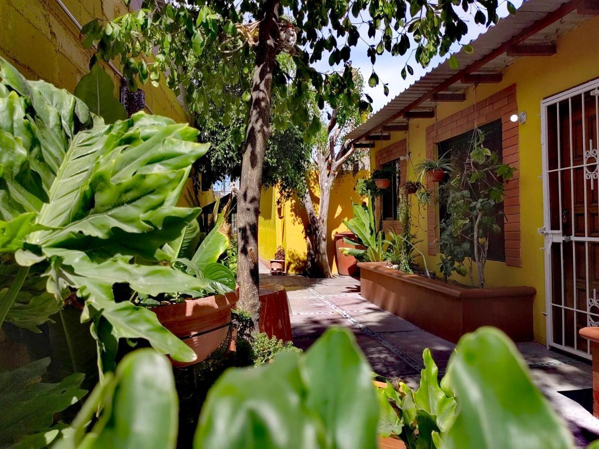 Casa Caracoles La Paz Exterior photo